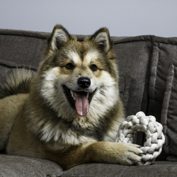 D&D Home Ben Bomuldsring Beige