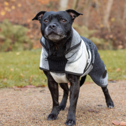Canelana Aurora hundedkken uld