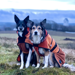 Canelana Aurora hundedkken uld