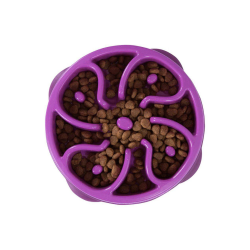 Outward Hound Fun Feeder Slow-Bowl