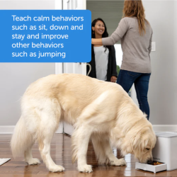 PetSafe Teach &amp; Treat Remote Reward Trainer