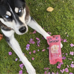 Woolf Noohide Sticks m. Laks