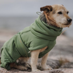 Paikka 2Go Trredragt Olive