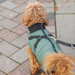 Trixie Pontis Hundedkken Sage