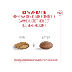 Royal Canin Ageing 11+