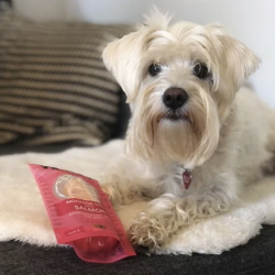 Woolf Noohide Sticks m. Laks