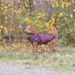 Trixie Pirou Vinterjakke Sangria