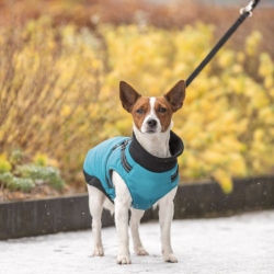 Trixie Pontis Harness Hundejakke Aqua