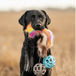 Ozami Pels Trkketorv m. bold