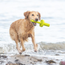 Trixie Dog Activity MOTAqua