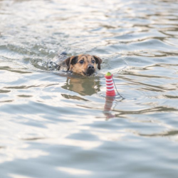 Trixie Fyrtrn Vandlegetj