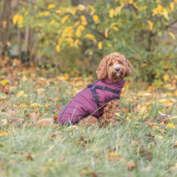 Trixie Pirou Vinterjakke Sangria