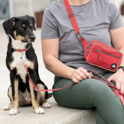 Dog Copenhagen Bltetaske