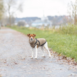 Trixie Pirou Vinterjakke Sand