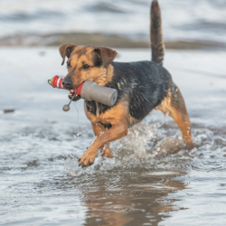 Trixie Fyrtrn Vandlegetj