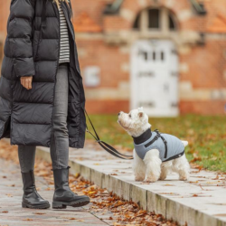 Trixie Pontis Hundedkken Blgr