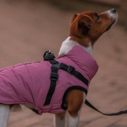 Trixie Pontis Reflect Hundedkken Pink