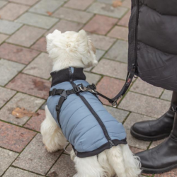 Trixie Pontis Hundedkken Blgr