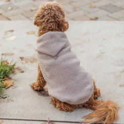 Trixie Carson Hoodie