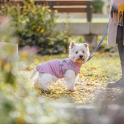 Trixie Pontis Regn Hundedkken Pink