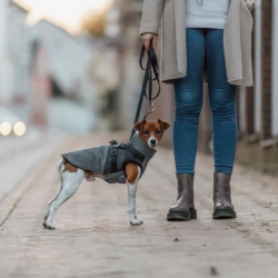 Trixie Pontis Reflect Hundedkken Gr