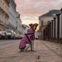 Trixie Pontis Reflect Hundedkken Pink