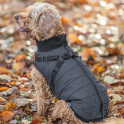 Trixie Pontis Hundedkken Bl