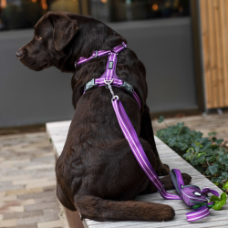 Dog Copenhagen Pouch Organizer