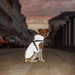 Trixie Pontis Reflect Hundedkken Pink