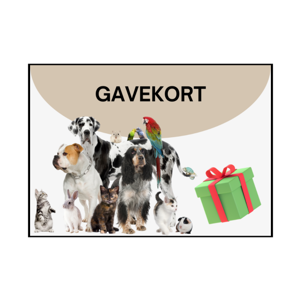 Gavekort