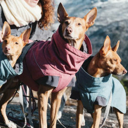 Hurtta Expedition Parka Vinterdkken