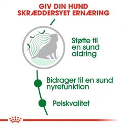  Royal Canin Mini Ageing +12