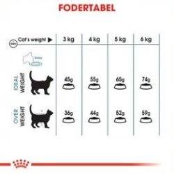 Royal Canin Intense Hairball