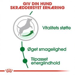  Royal Canin Mini Ageing 8+