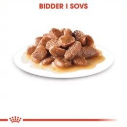 Royal Canin Urinary Cat 12 x 85 g.