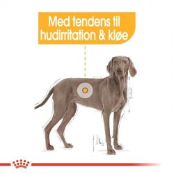  Royal Canin Maxi Derma Comfort hundefoder