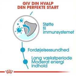 Royal Canin vskost Maxi Puppy 10 x 140 g.