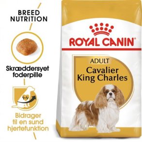  Royal Canin Cavalier King Charles voksen hundefoder