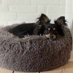 Fluffy Donut Hundeseng