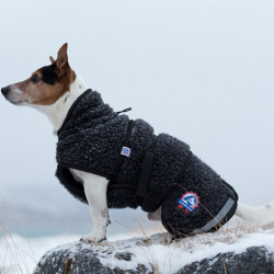 Canelana Ambassadr hundedkken uld