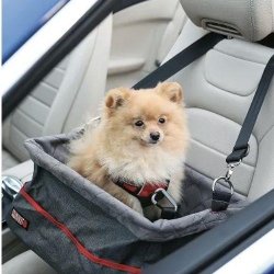 Kong Secure Booster rejsesde til hund