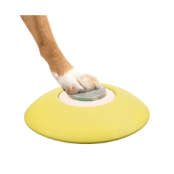 Trixie memory trainer