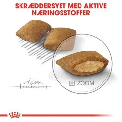  Royal Canin Mini Exigent