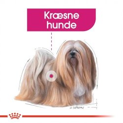  Royal Canin Mini Exigent