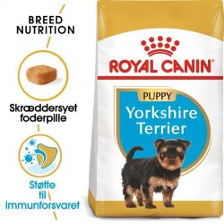  Royal Canin Yorkshire Terrier 29 Junior