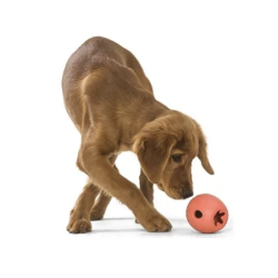 West Paw Rumbl legetj Small