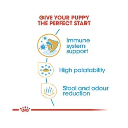  Royal Canin Chihuahua Junior hundefoder 1,5 kg.