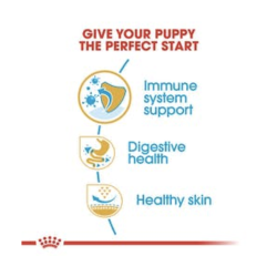  Royal Canin Hundefoder Hvalp/junior Fransk Bulldog 10 kg.