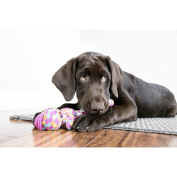 Kong Wubba Legetj Finz multifarvet 27 cm.