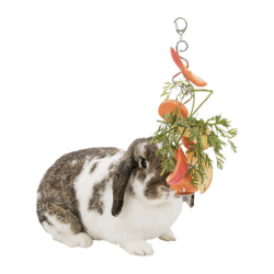 Trixie Frugt/grnsags holder 25 cm.